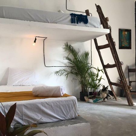 Black Jaguar Hostel Bacalar Exterior foto