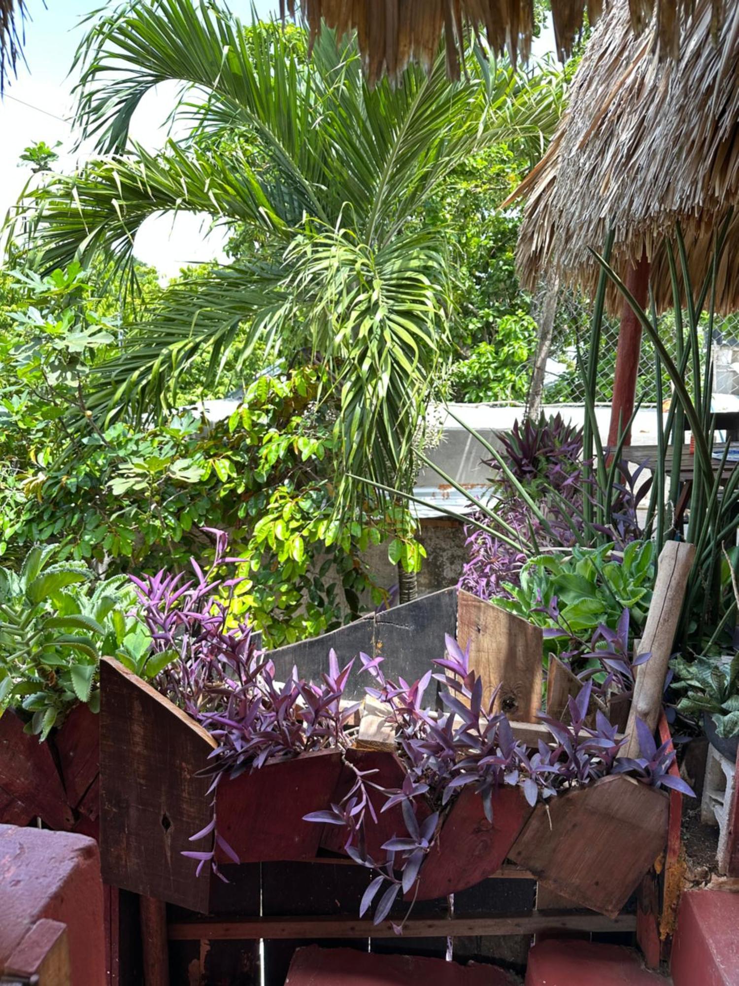 Black Jaguar Hostel Bacalar Exterior foto
