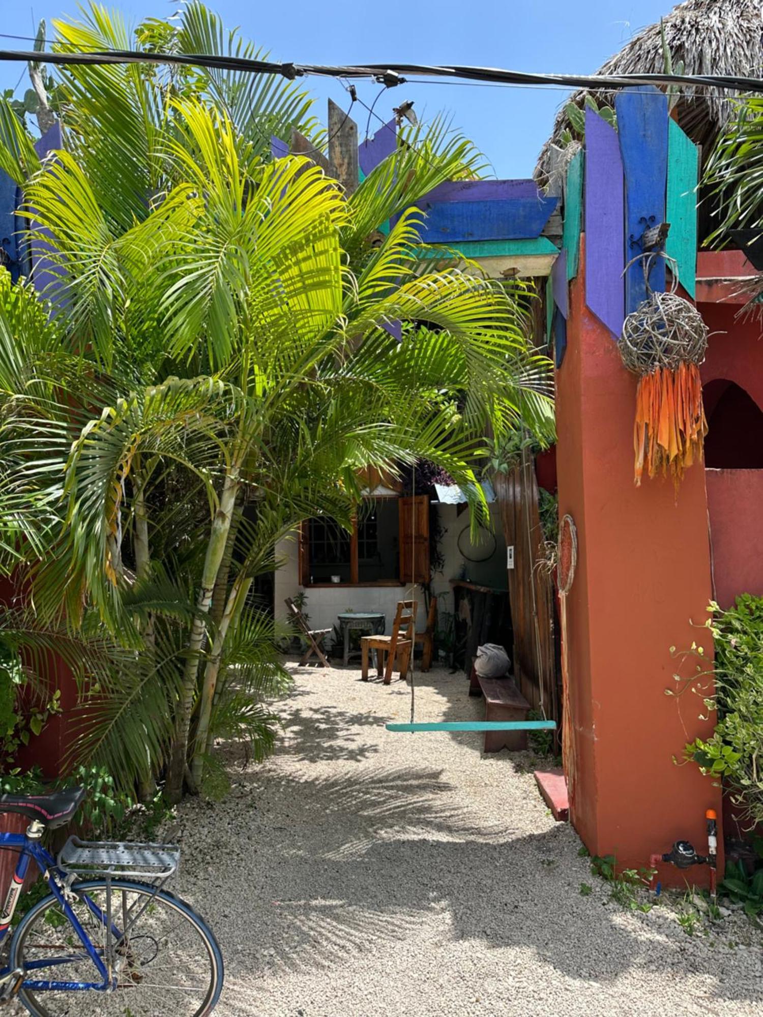 Black Jaguar Hostel Bacalar Exterior foto