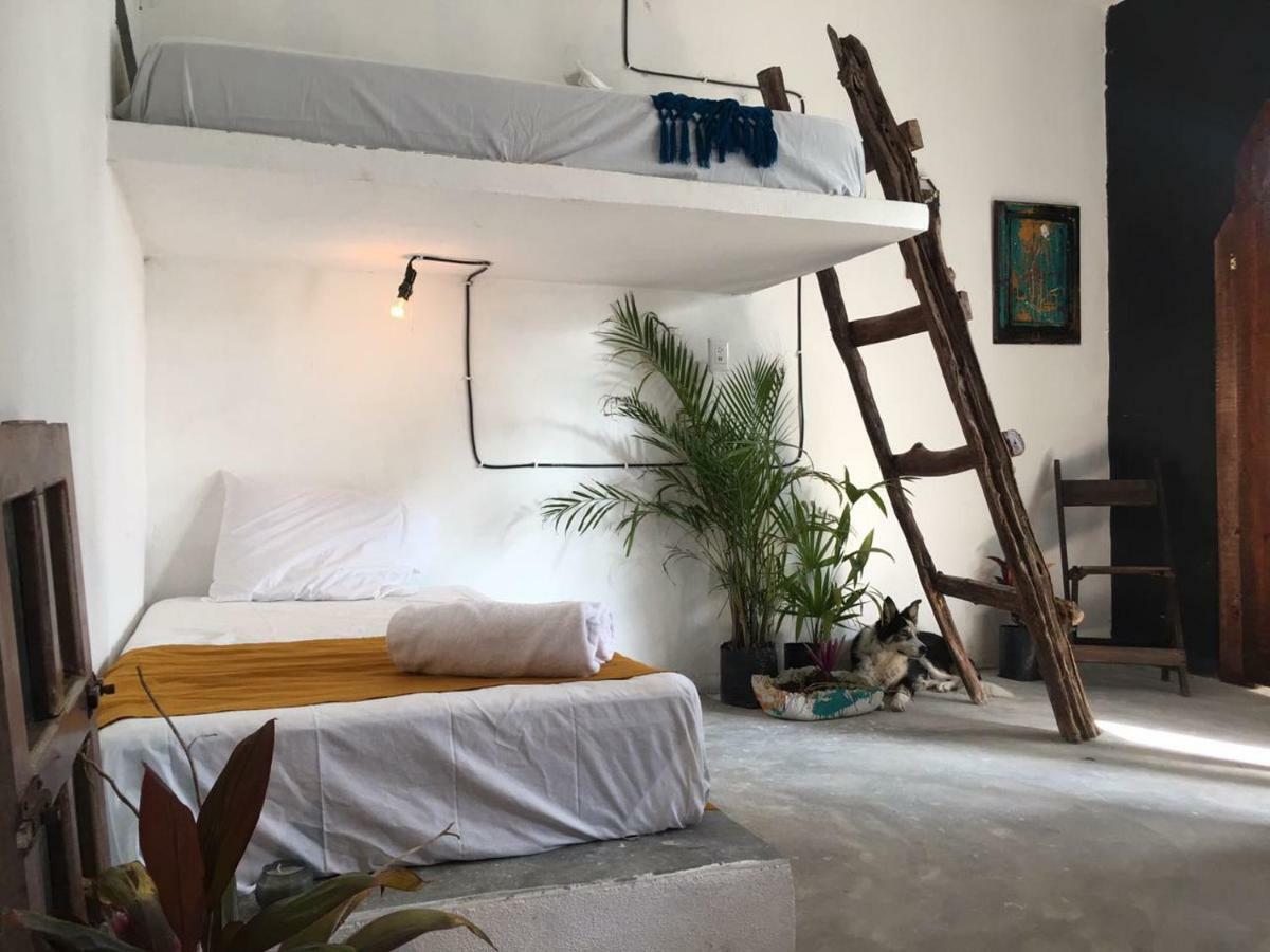 Black Jaguar Hostel Bacalar Exterior foto
