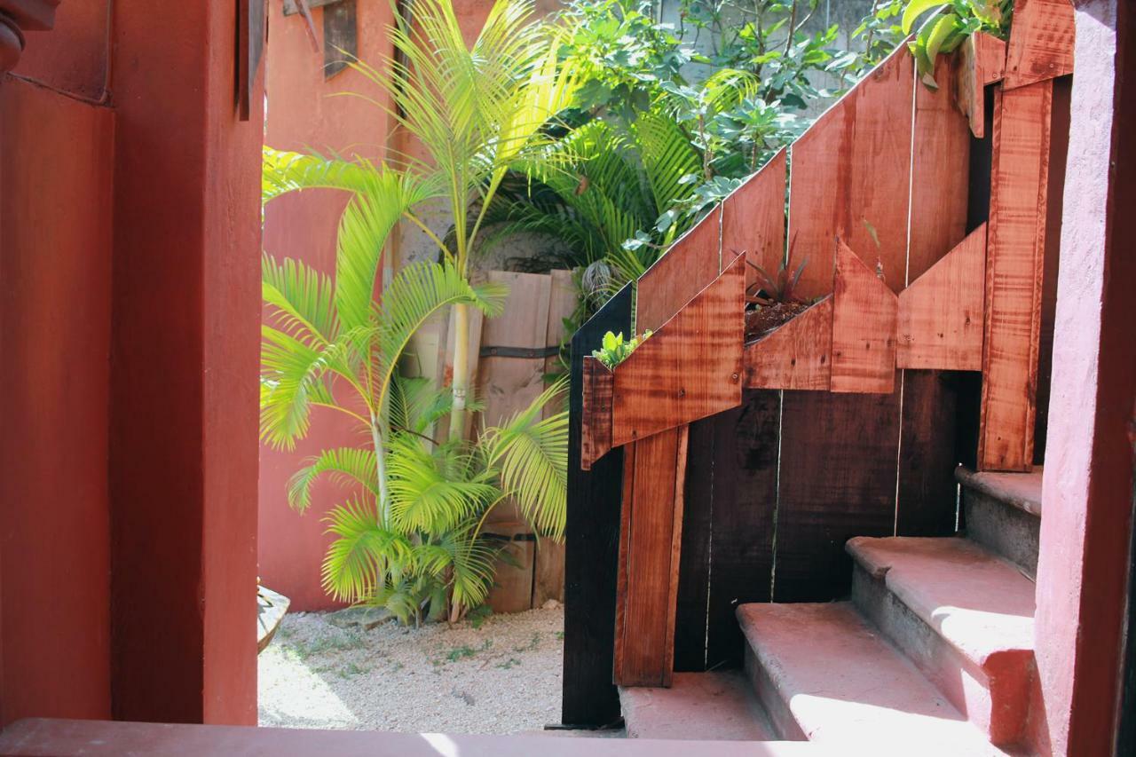Black Jaguar Hostel Bacalar Exterior foto