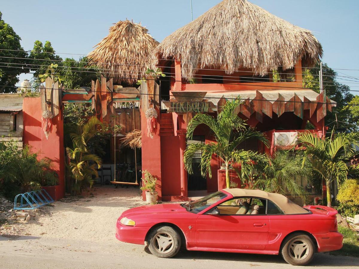 Black Jaguar Hostel Bacalar Exterior foto
