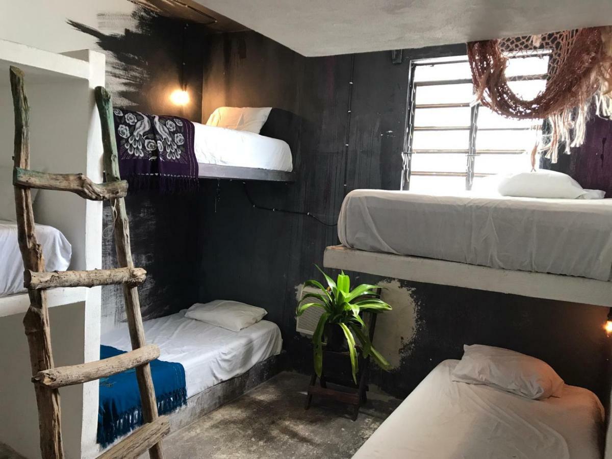 Black Jaguar Hostel Bacalar Exterior foto